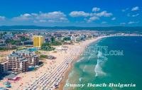 Studio Sunny Beach resort